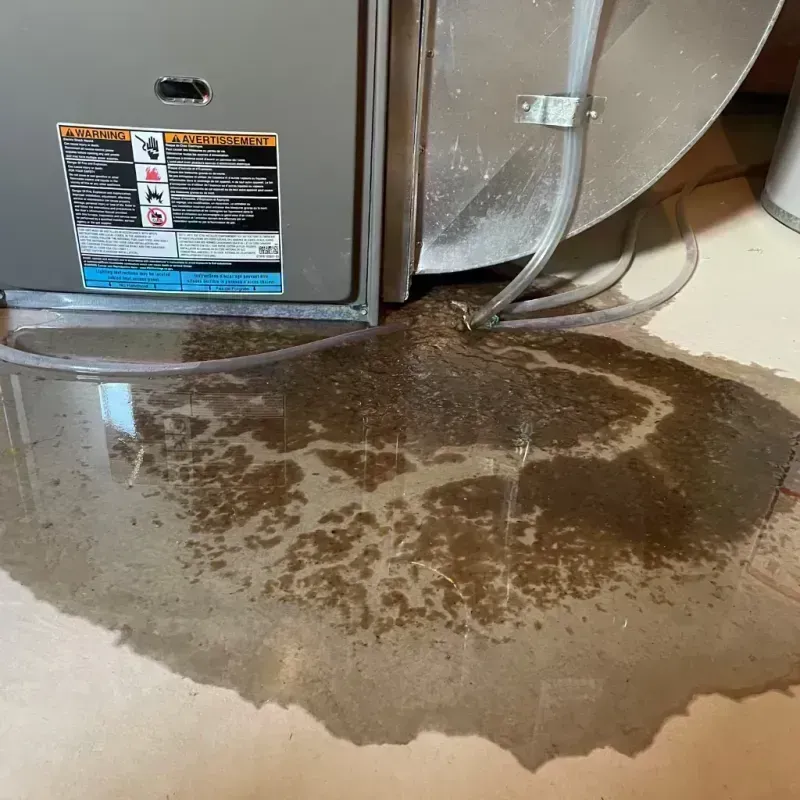 Appliance Leak Cleanup in Dixon, CA